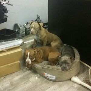 Meet your Posher, Jay